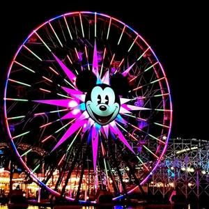 Meet your Posher, Lynn